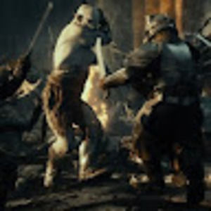 Meet your Posher, Marie